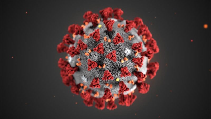 New Coronavirus Disease Officially Named COVID 19 By The World Health Organization 804809566 1581442221